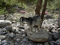 Photo 232